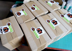 Tarantula Shipping