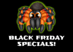 MyMonsters.co.za Black Friday Tarantula Specials!